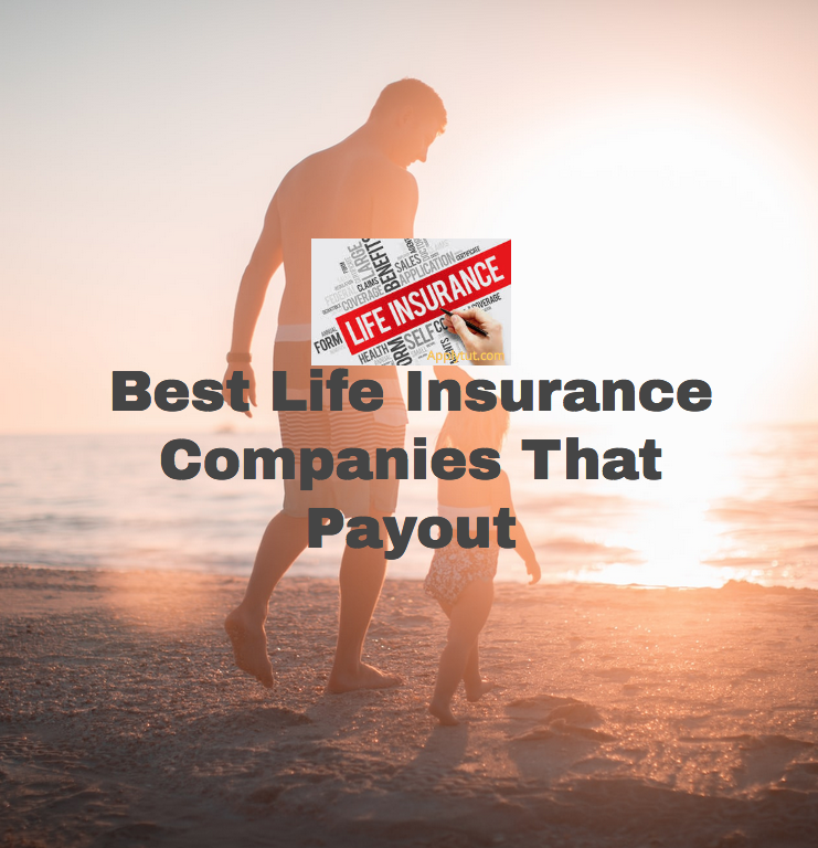 Best Life Insurance Companies That Payout - Education & Finance