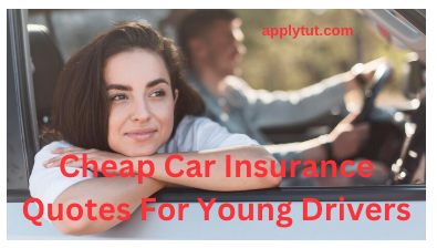 Cheap Car Insurance Quotes For Young Drivers - Education & Finance